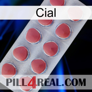 Cial 18